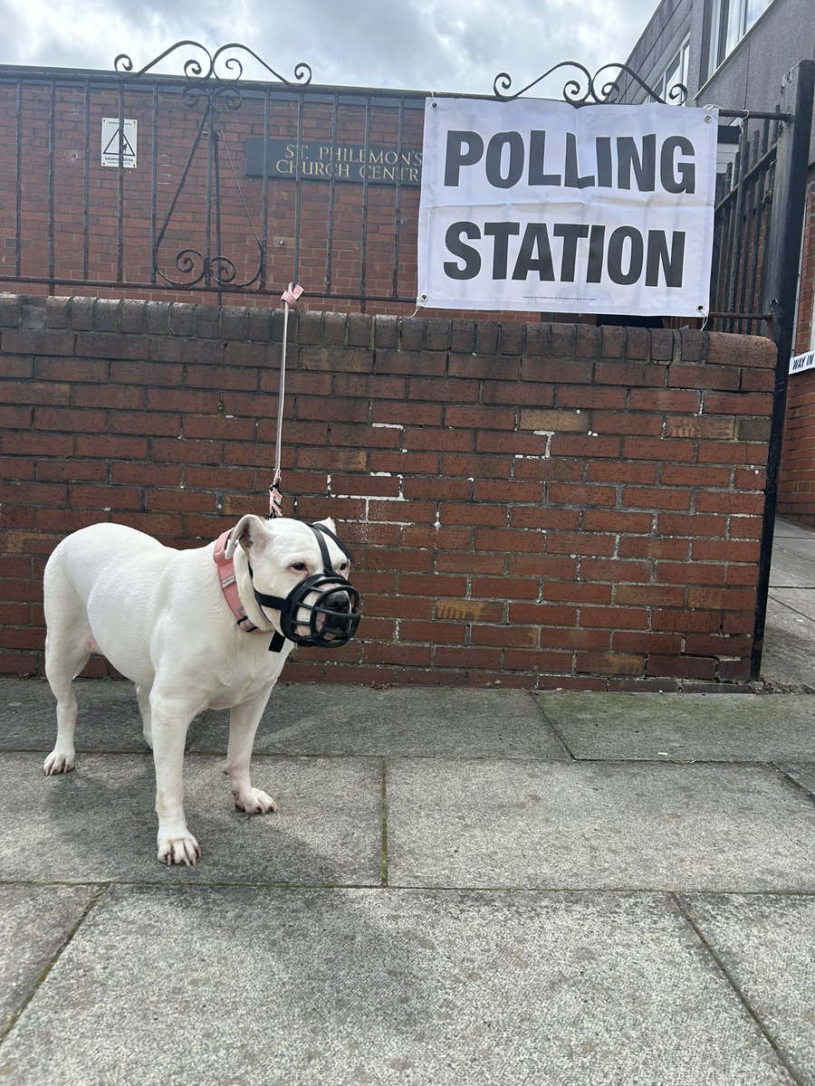 #dogsatpollingstations