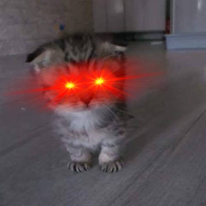 CryptospaceSOL's tweet photo. @CrptoKrptonite @Noahhweb3 $bao sending 🐱 https://t.co/krhLIEY5pp