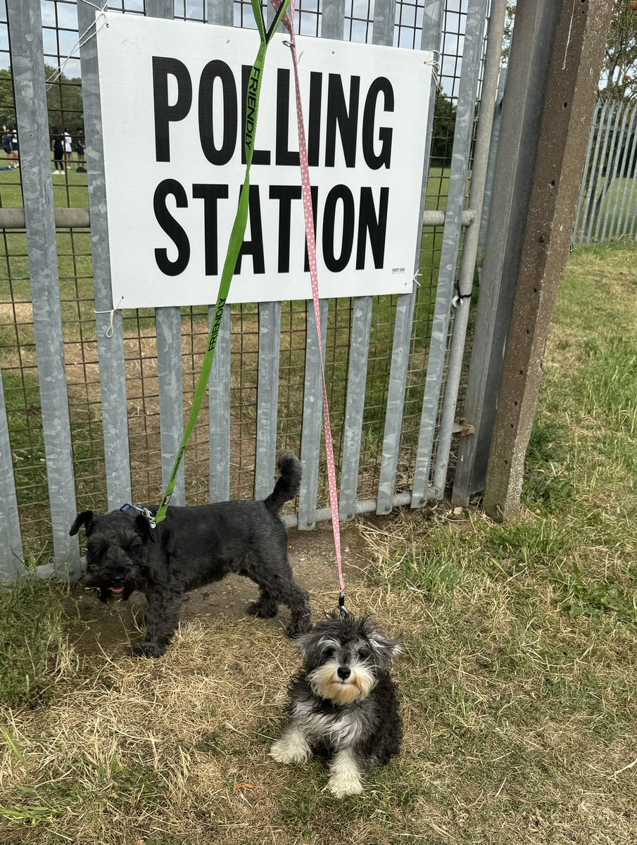 boucher_clare's tweet photo. It’s Lottie’s first general election. She’s very excited #dogsatpollingstations https://t.co/2bDvY64h09