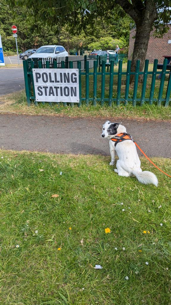 rcads's tweet image. Polldog