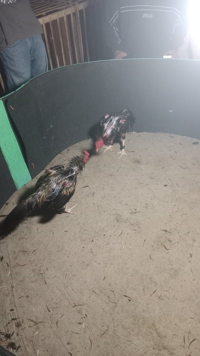 Pertarungan yang luar biasa