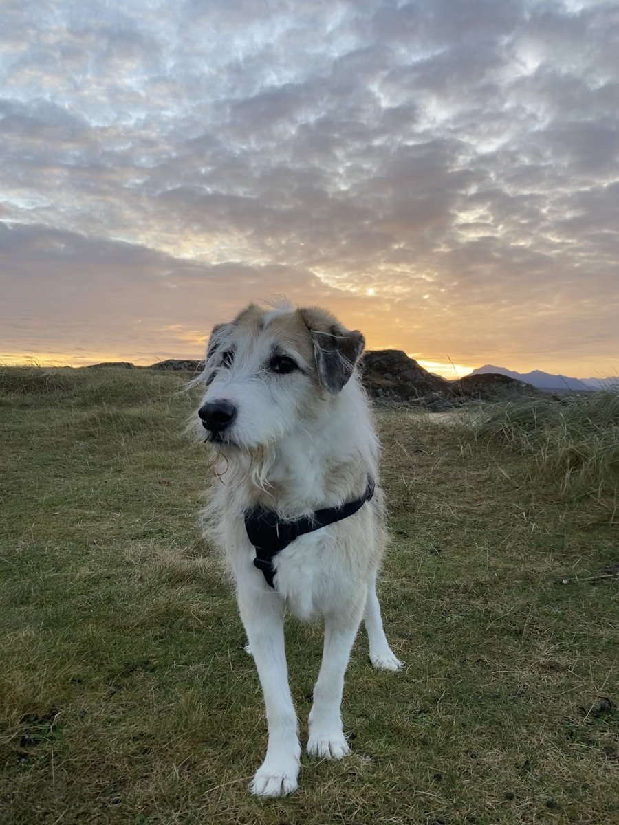 ✨ Donna Hall ✨ tweet media