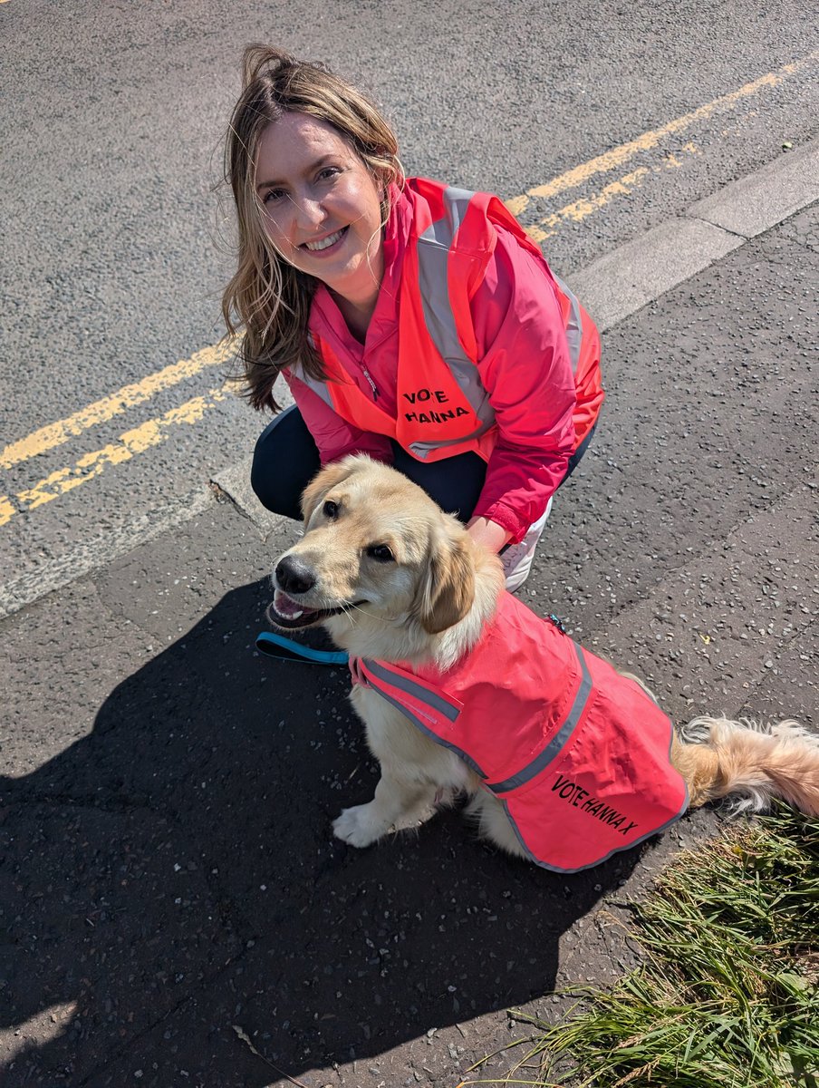 MulgrewSarah's tweet photo. Hounds for Hanna ♥️♥️ #dogsatpollingstations Vote @ClaireHanna https://t.co/8V9j2d44NU