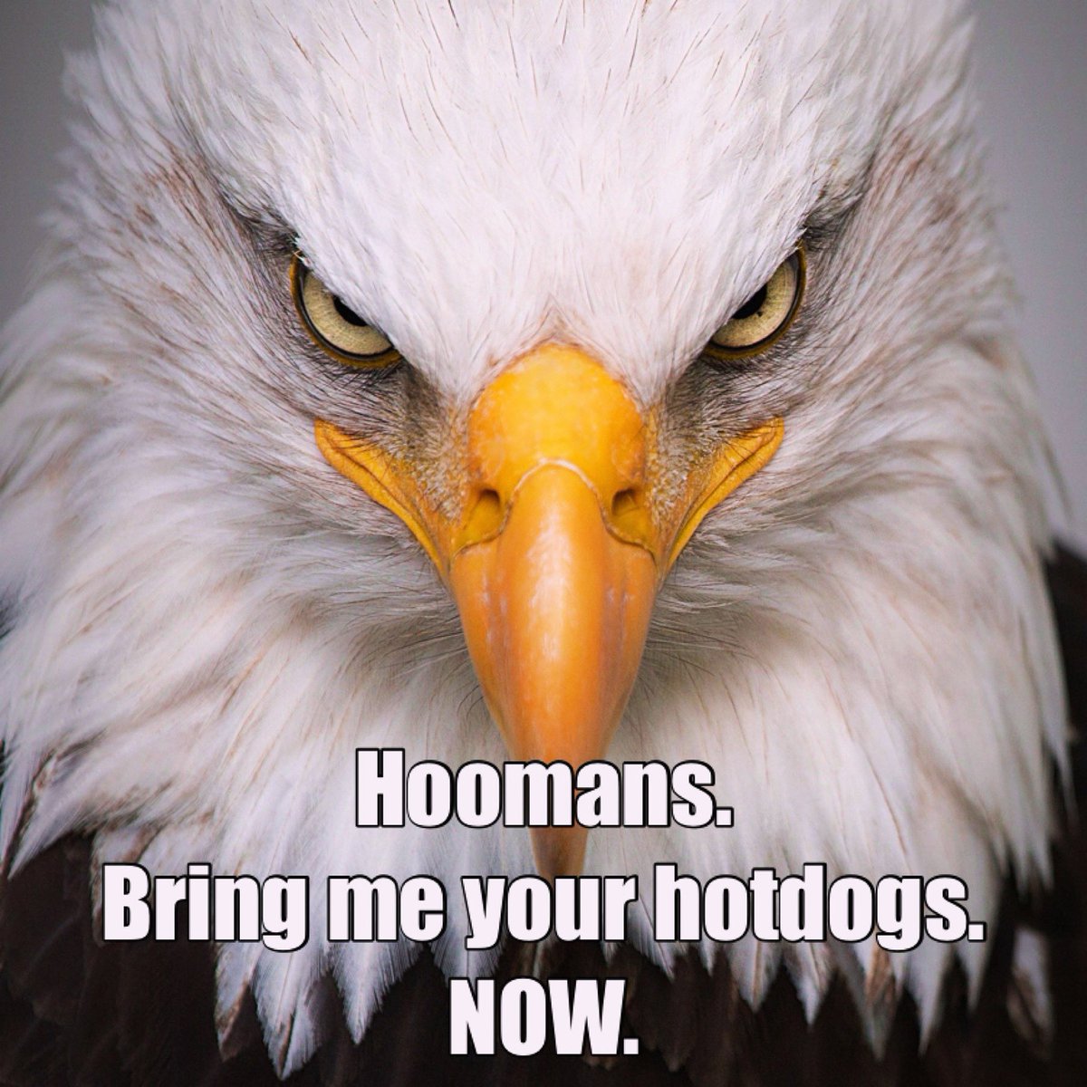 Happy Independence Day to all my American family &amp; friends! ❤️🇺🇸❤️