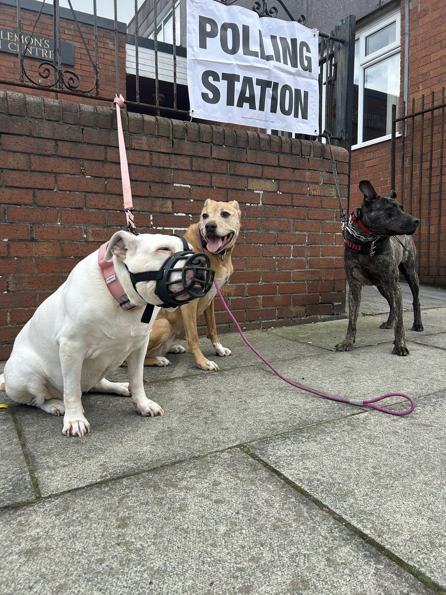 Girl gang  #dogsatpollingstations