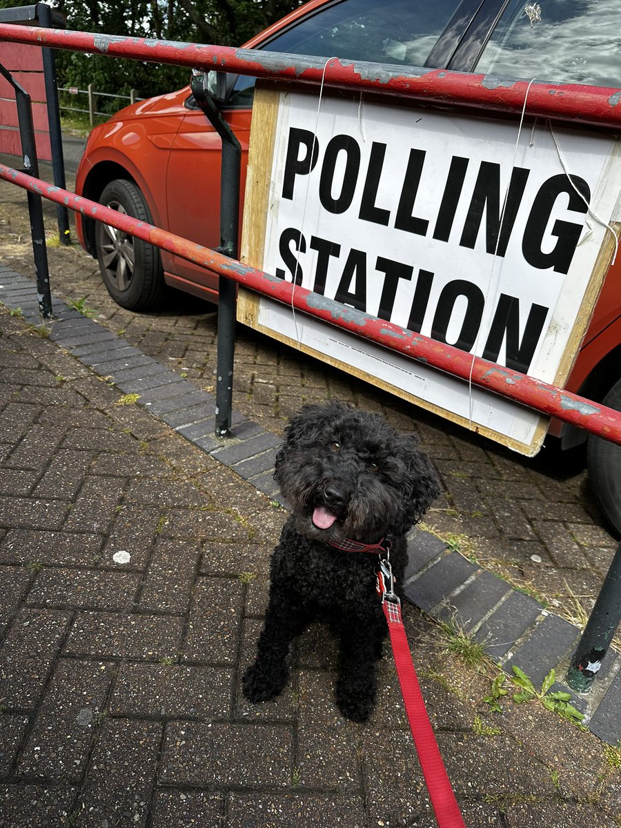 Darcey has performed her civic duty. #DogAtPollingStations #DeedsNotWords