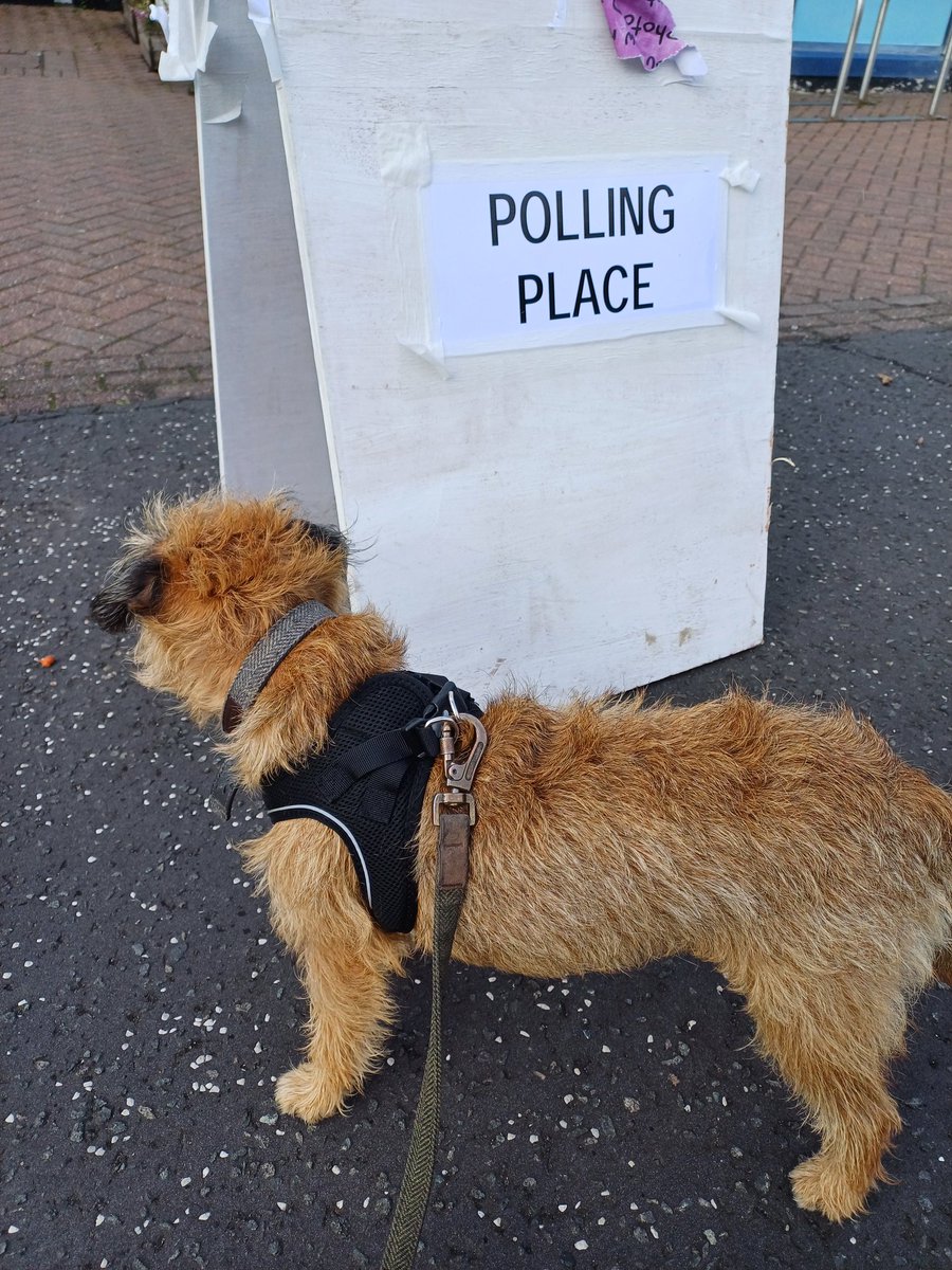 MoragLovesFeet's tweet photo. Mummy is voting.
#dogsatpollingplaces https://t.co/B8fhR32Ctq