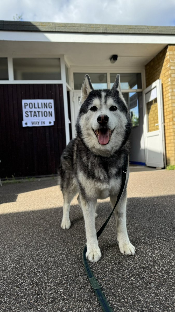 Paul Hurt (@paulhurt) on Twitter photo Done. Mika rewarded with a sunny evening walk for being such a willing photo model. Thank you Dogs Trust Basildon. <a href="/DT_Essex/">Dogs Trust Basildon</a> #dogsatpollingstations Done. Mika rewarded with a sunny evening walk for being such a willing photo model. Thank you Dogs Trust Basildon. <a href="/DT_Essex/">Dogs Trust Basildon</a> #dogsatpollingstations