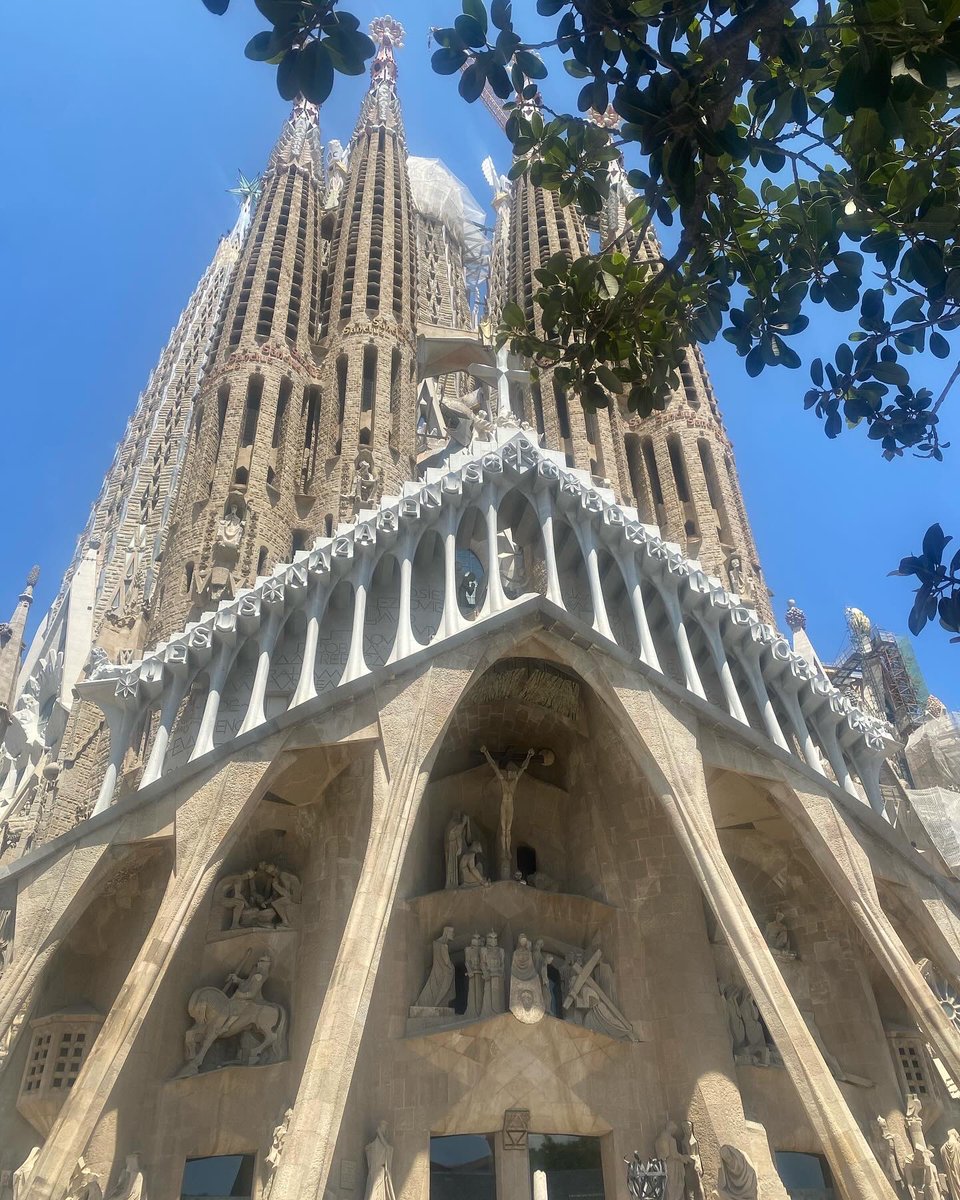 Hannah Wilkinson tweet media