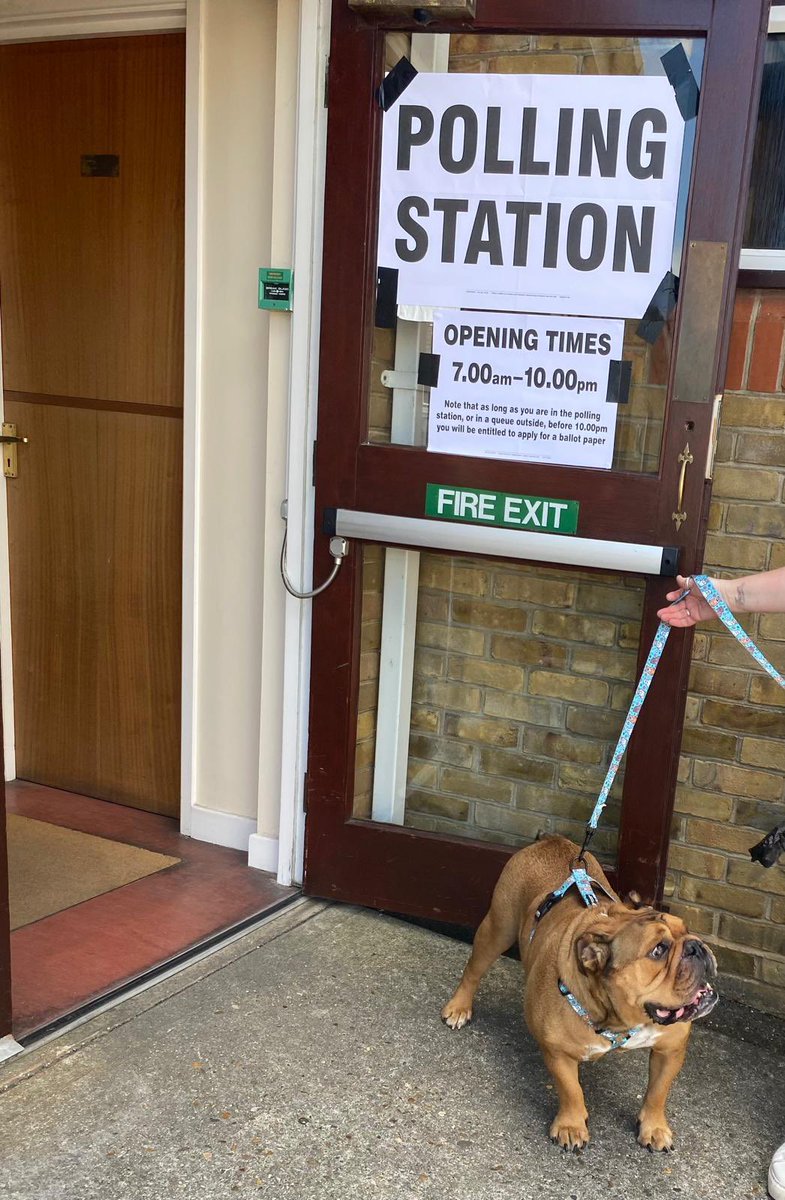 LeeSheppard72's tweet photo. #dogsatpollingstations it’s was great that Albert got the chance to go with his owner to the polling station , at great wakering Essex. https://t.co/lC7GAdlBXr