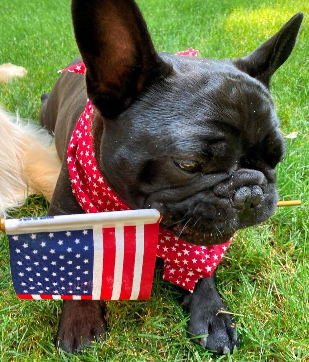 queeniedemon's tweet photo. 🇺🇸; #4thJulySoG

Ft. @Deandongreen &amp; Lumière https://t.co/81ItSP6pJC