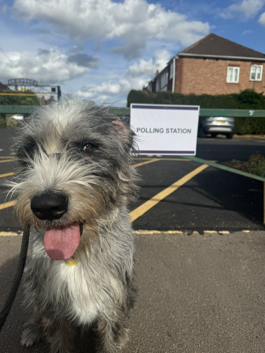 This is Burt
Burt hates Tories
Be like Burt
#dogsatpollingstations