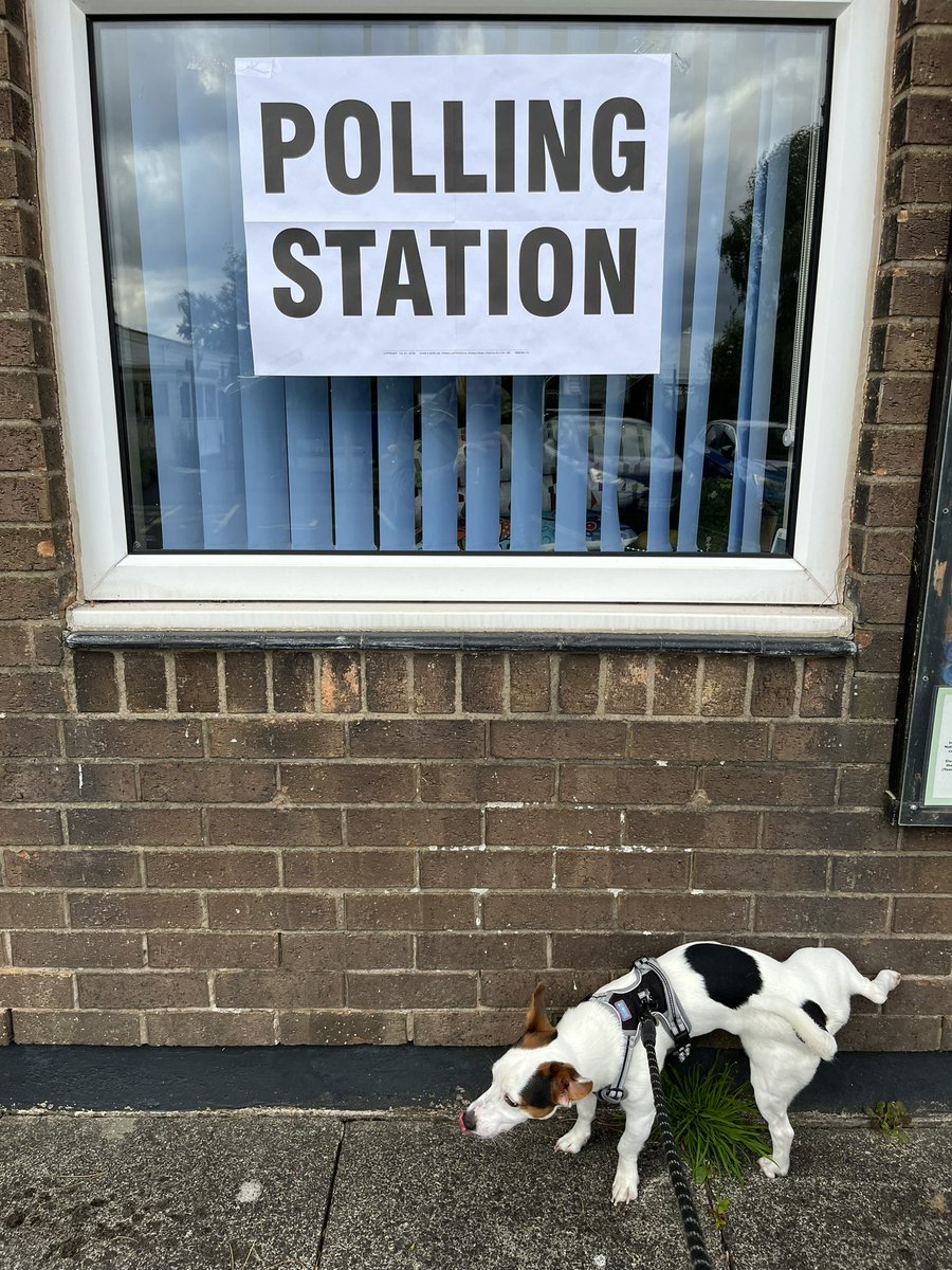 pnburton's tweet photo. #dogsatpollingstations Reg showing his disapproval https://t.co/qhWEg42Nsd