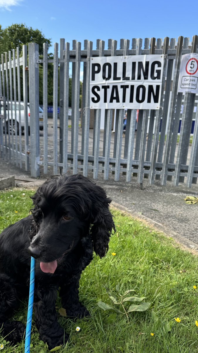 adam_fiasco's tweet photo. Get out and vote! #dogsatpollingstations #ToriesIntoThird #toriesout https://t.co/X8taMdIBSI