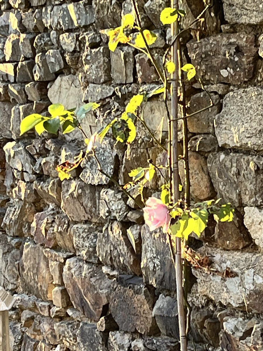 Dreaming of an idyll in Normandy with sausages cooked from a recipe as old as the fireplace x x x