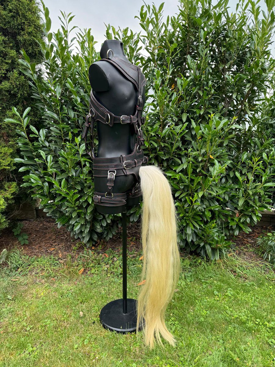 FOR SALE!

Hi! We have exclusive offer of pony play harness with unique white tail and metal red/orange stitching. Plus extra piece for option without tail. Size M-L.

Total price is 2.200€

Contact us at sales@porthosstable.com
Subject: TWITTER