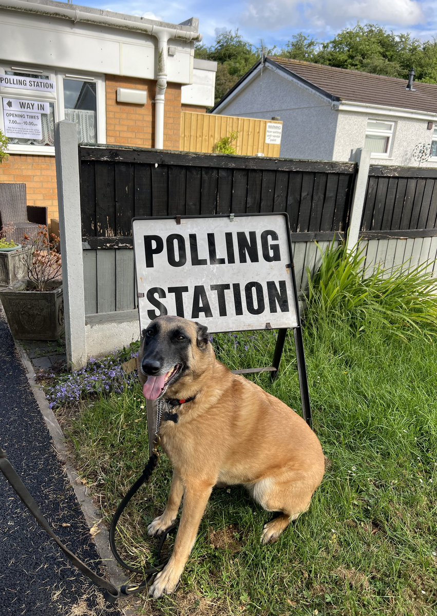 WebMC's tweet image. #Elections2024 #dogsatpollingstations