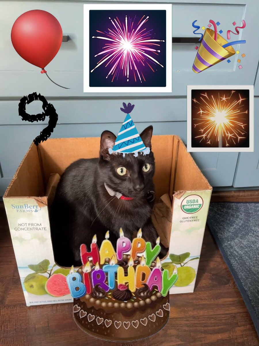 Dobby #RIPLucky 🌈 💖 tweet media