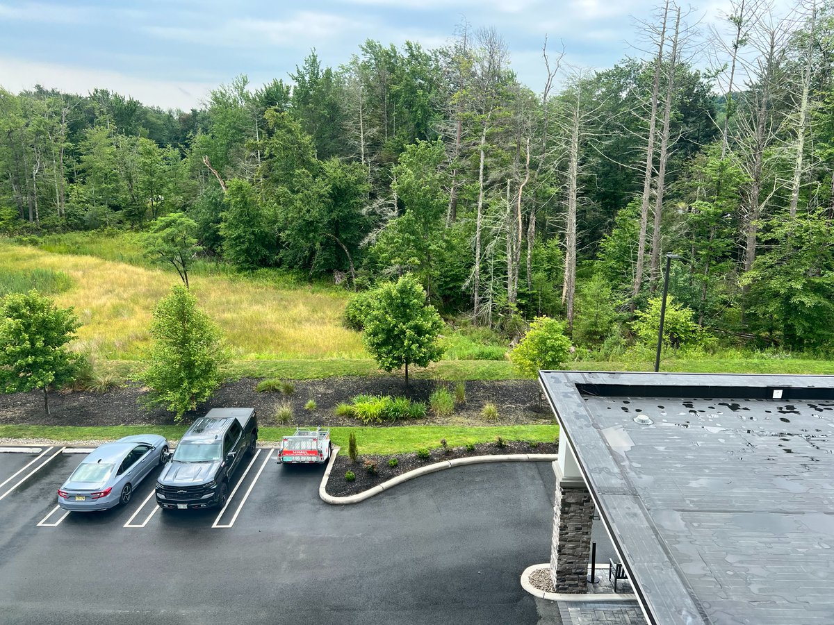 Truth_Substack's tweet image. thetruthabouteverything.com/post/the-wande…

Spending my day writing and reflecting on America at a Hampton Inn. There are worse places, worse countries from which to make these observations.