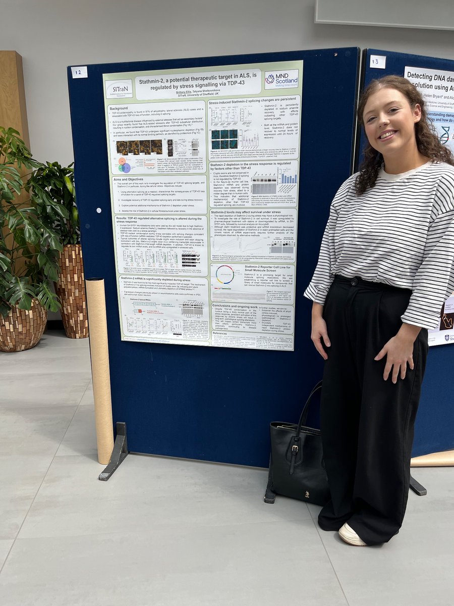 Great to see amazing research in MND funded by <a href="/MNDScotland/">MND Scotland</a>  by Brittany Ellis from <a href="/neuroshef/">Neuroscience Institute</a> and <a href="/SheffieldBRC/">NIHR Sheffield Biomedical Research Centre</a> at the medical research day. Another step forward to finding a cure