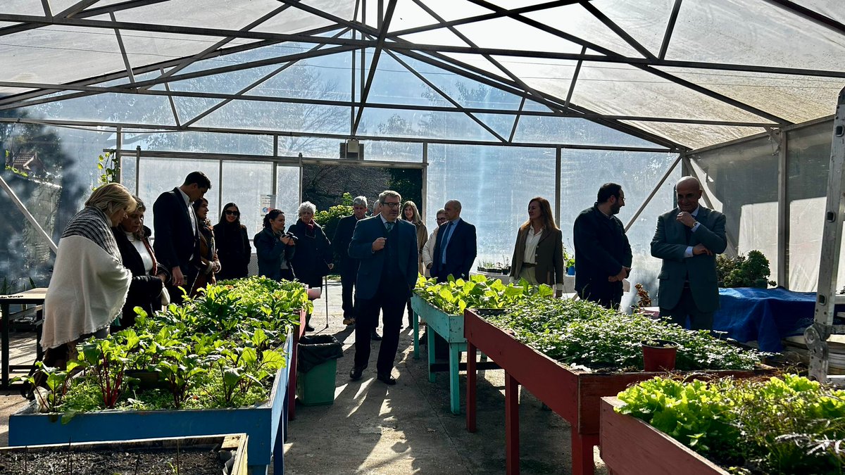 Alfredo Cabrera tweet media