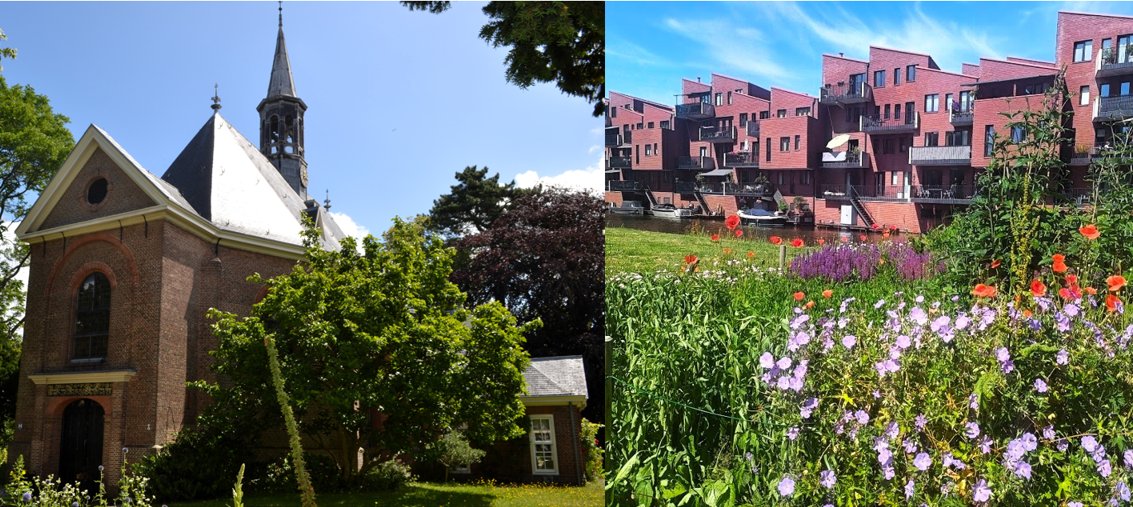 Zomerkiekske: mail uw zomerse foto van Heemstede of Bloemendaal naar deze krant dlvr.it/T98zjD