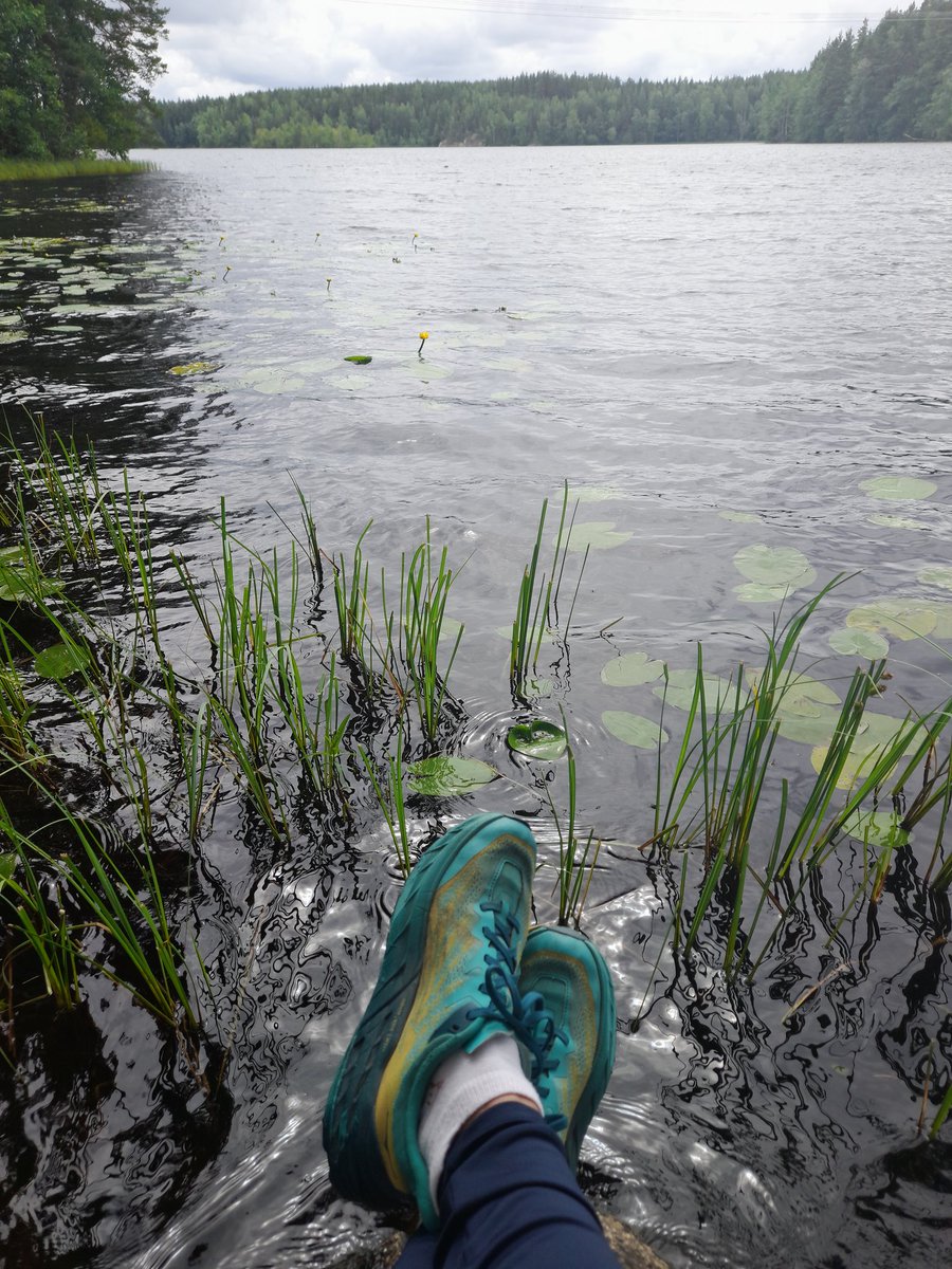 niituska's tweet photo. Teijon Hamarinjärvellä hienot maisemat ja kasvisto, ja Mathildedalin pörröiset alpakat 😊 https://t.co/Y2IsRUBtCw