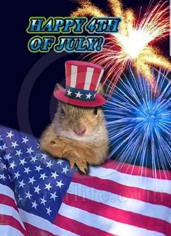 MoxyRoxyInc's tweet image. 