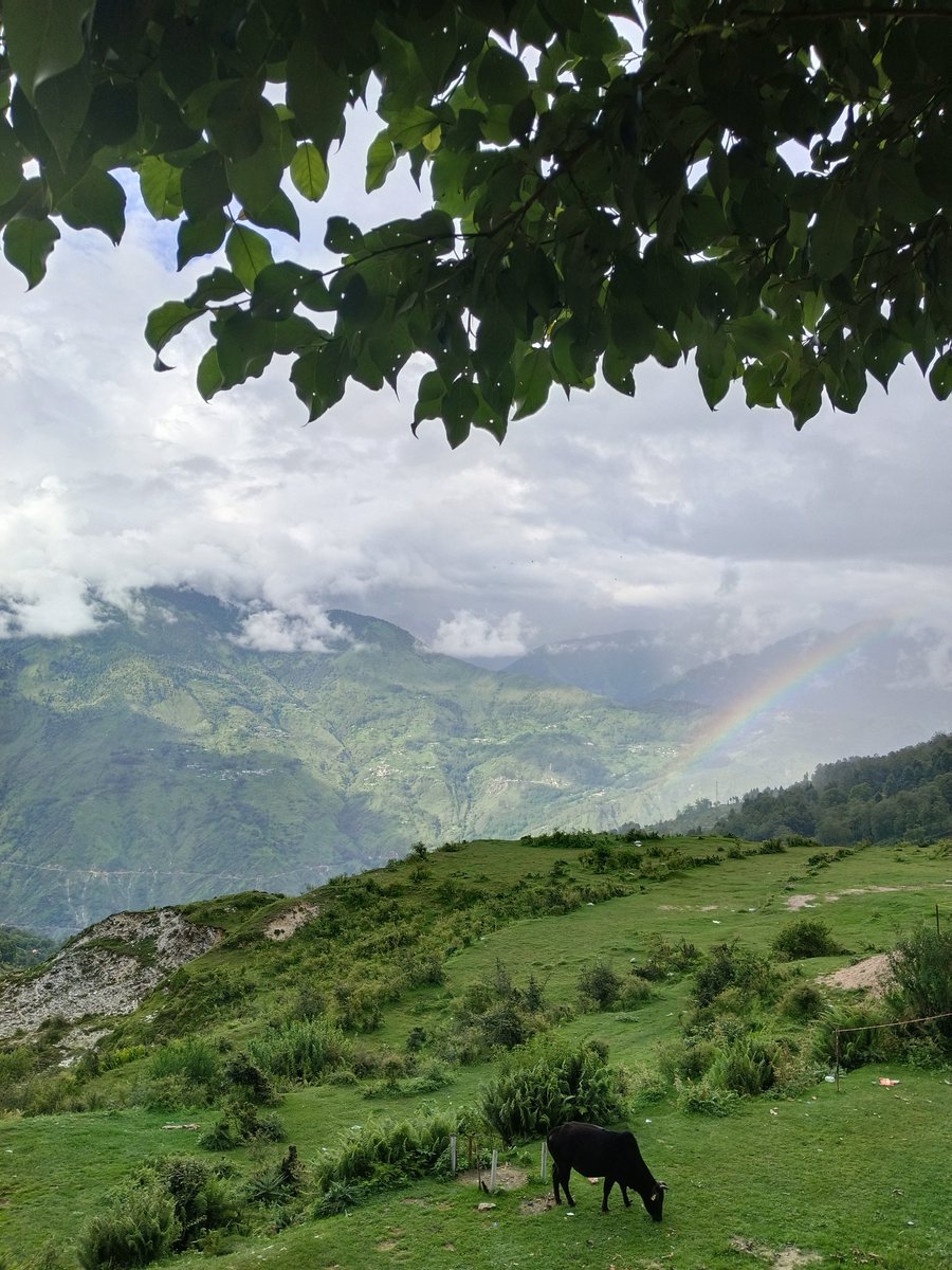 MrBajajhe's tweet photo. Somewhere in the Mountains 😌✨🤌✨ https://t.co/PfHj4XqpQr