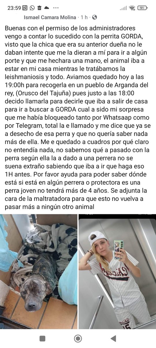 Leed porque no puede ni quedarse a la pobre perra porque mirad como la tiene ni darla a una perrera cuando se la habían pedido ni por supuesto deshacerse de ella.
Que no quede impune lo de esta infame 😡