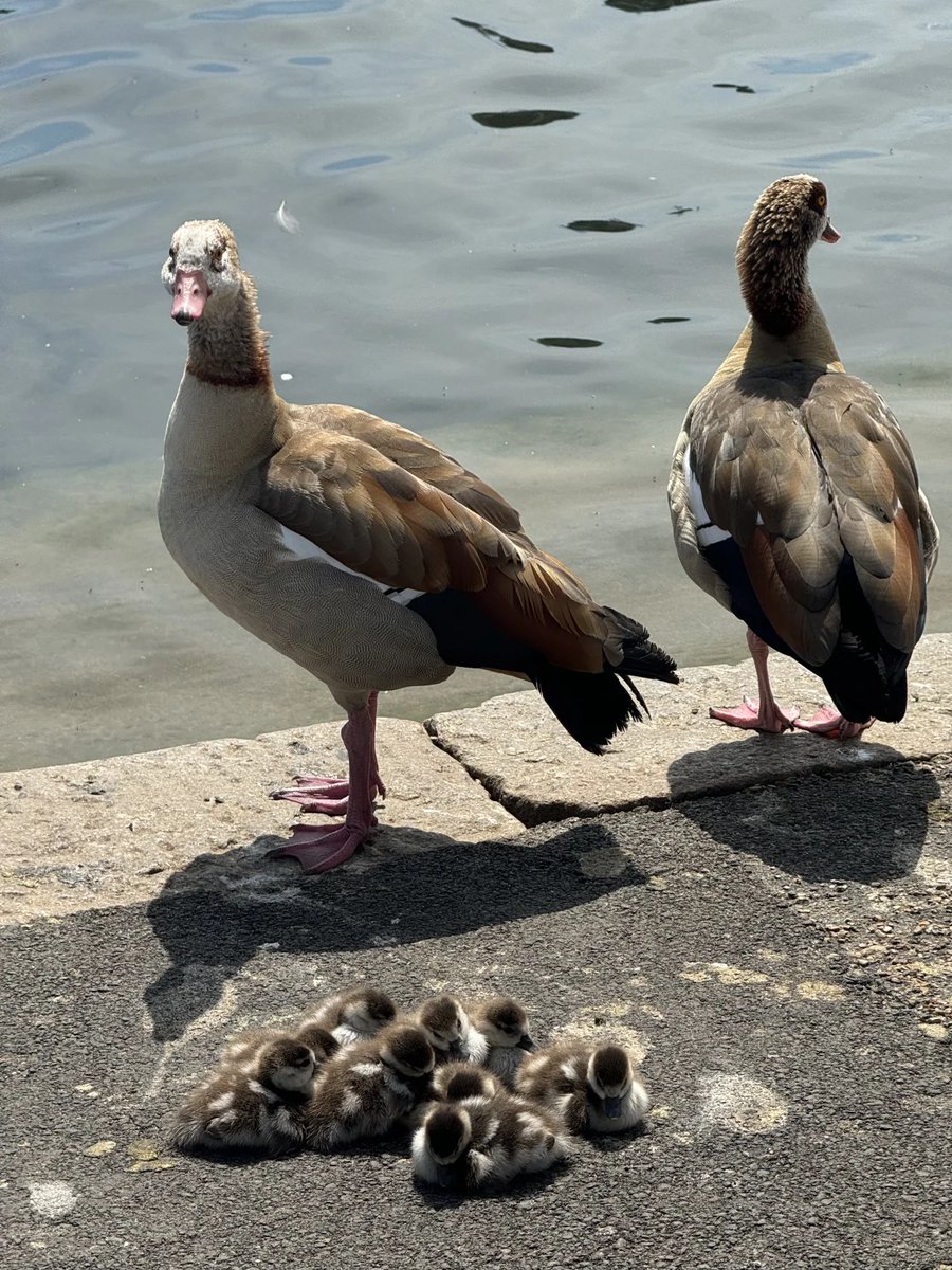 Gloria🦋 tweet media