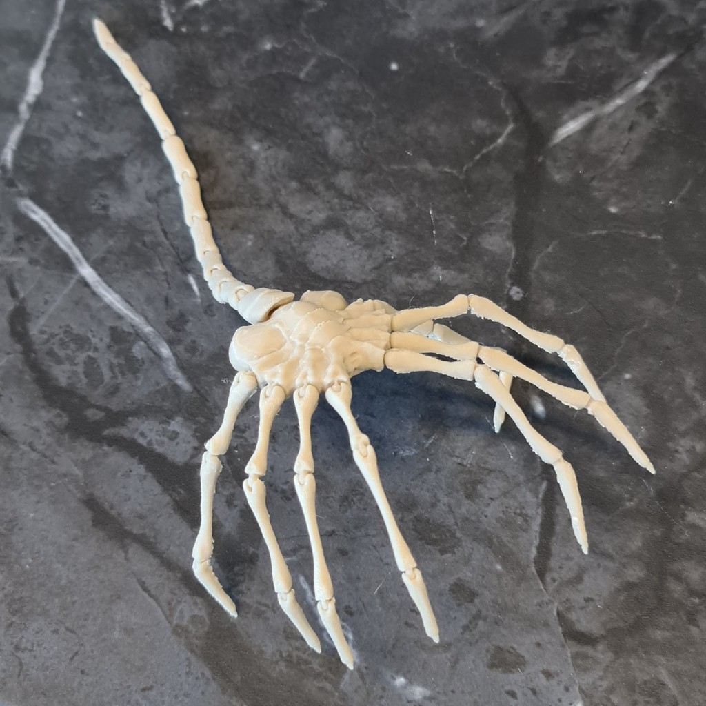 3DFilaPrint Ltd (@3dfilaprint) on Twitter photo Check out this incredible 3D printed Facehugger, crafted with eSUN PLA+ in stunning Bone White! 👽
Only £12.99 in our summer sale! 🌞🔥
3dfilaprint.com/biggest-filame…
#3DPrinting #eSUN #3DFilaprint Check out this incredible 3D printed Facehugger, crafted with eSUN PLA+ in stunning Bone White! 👽
Only £12.99 in our summer sale! 🌞🔥
3dfilaprint.com/biggest-filame…
#3DPrinting #eSUN #3DFilaprint