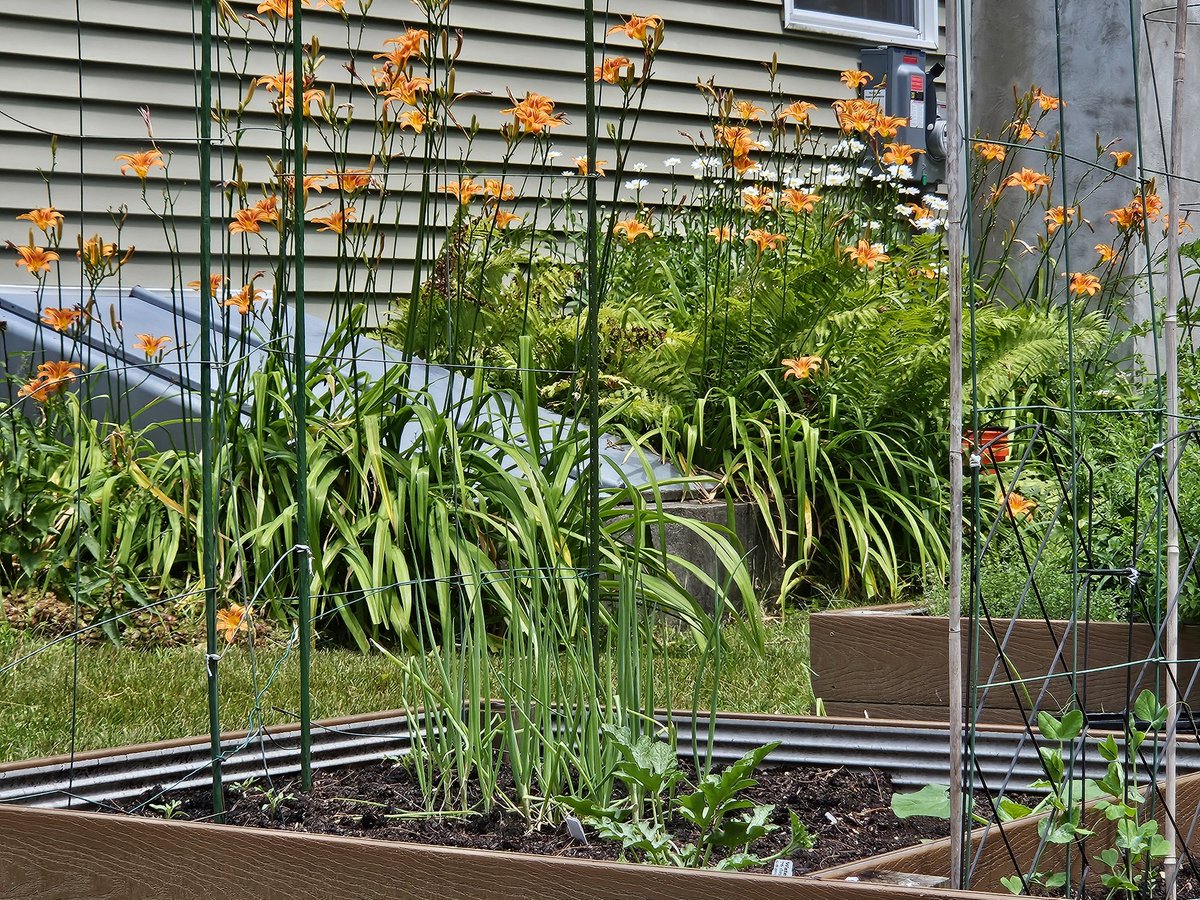 Words, words, words @dreamhopedo on bluesky! tweet media