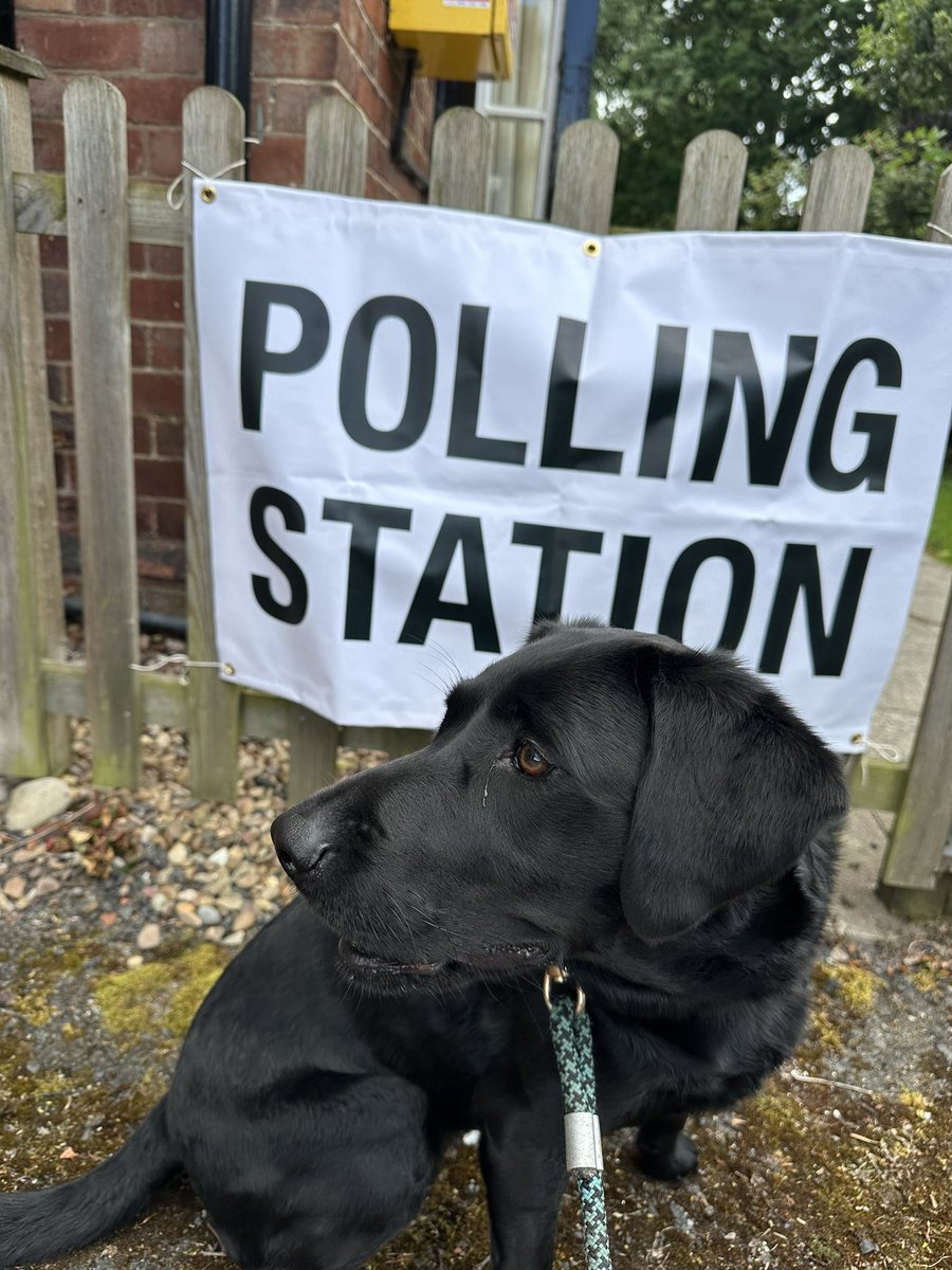 #dogsatpollingstations