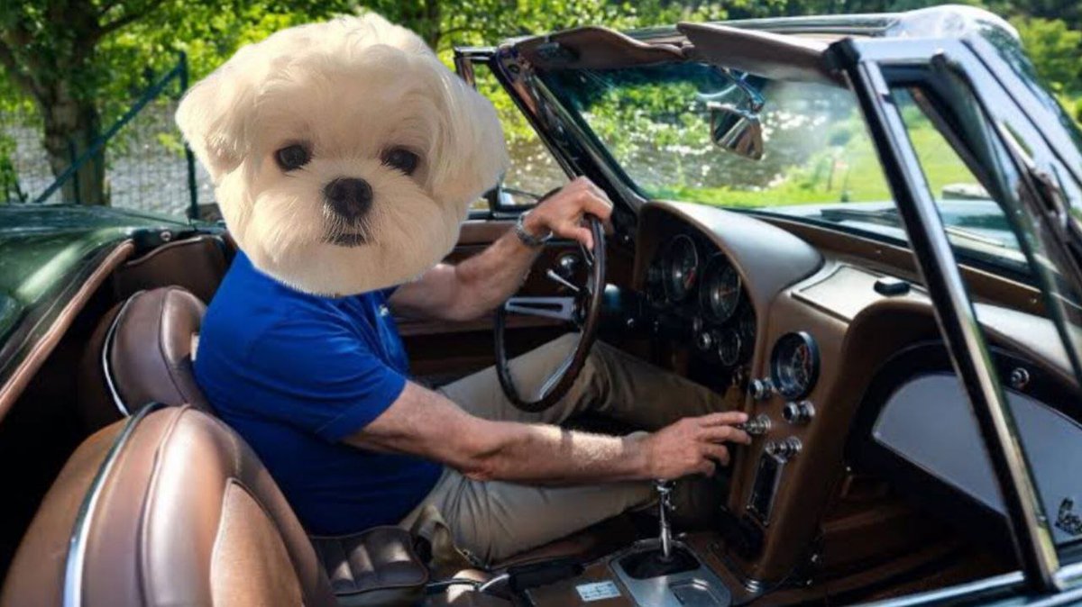 7lokalo's tweet photo. @IAmCryptoWolfy Join the #LENI ride then.
ERWAJYbYj7Y2SAHiJVfhU5f19SgGyeWVsJxRM7fYpump https://t.co/UjcbGvBA8t