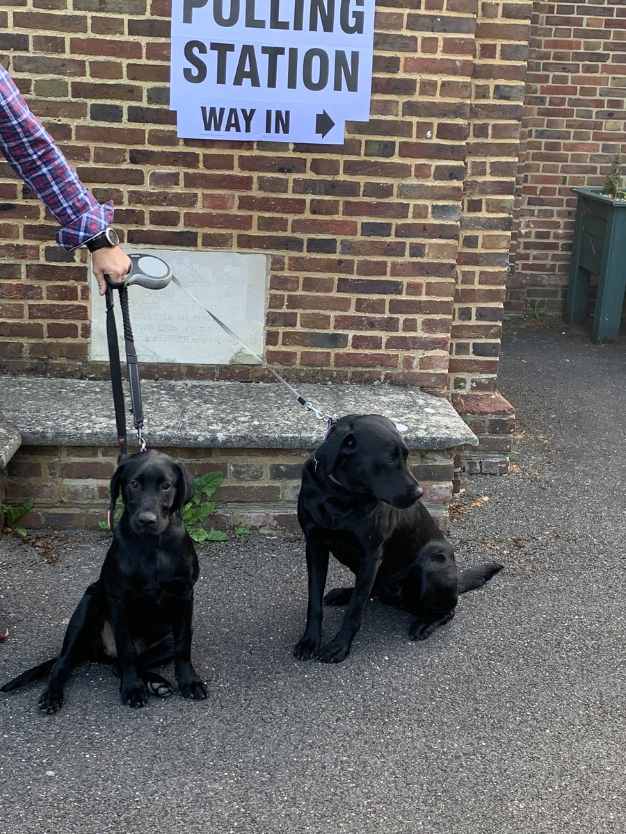 Of course they came too… 🥰