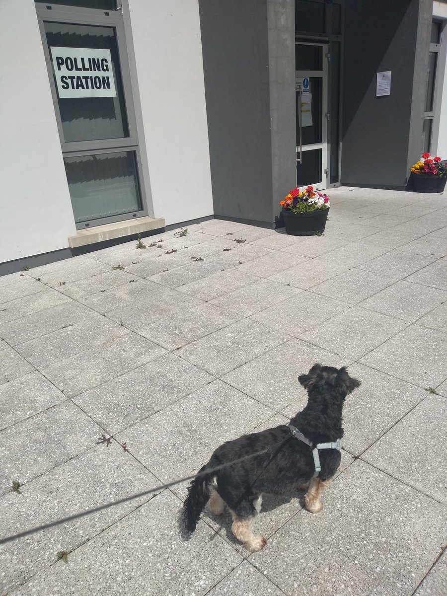 Done ✅👍 
First time I was able to bring my dog to the polling station - so just gotta take the photo 😊
#DogsAtPollingStations
#GeneralElection2024UK