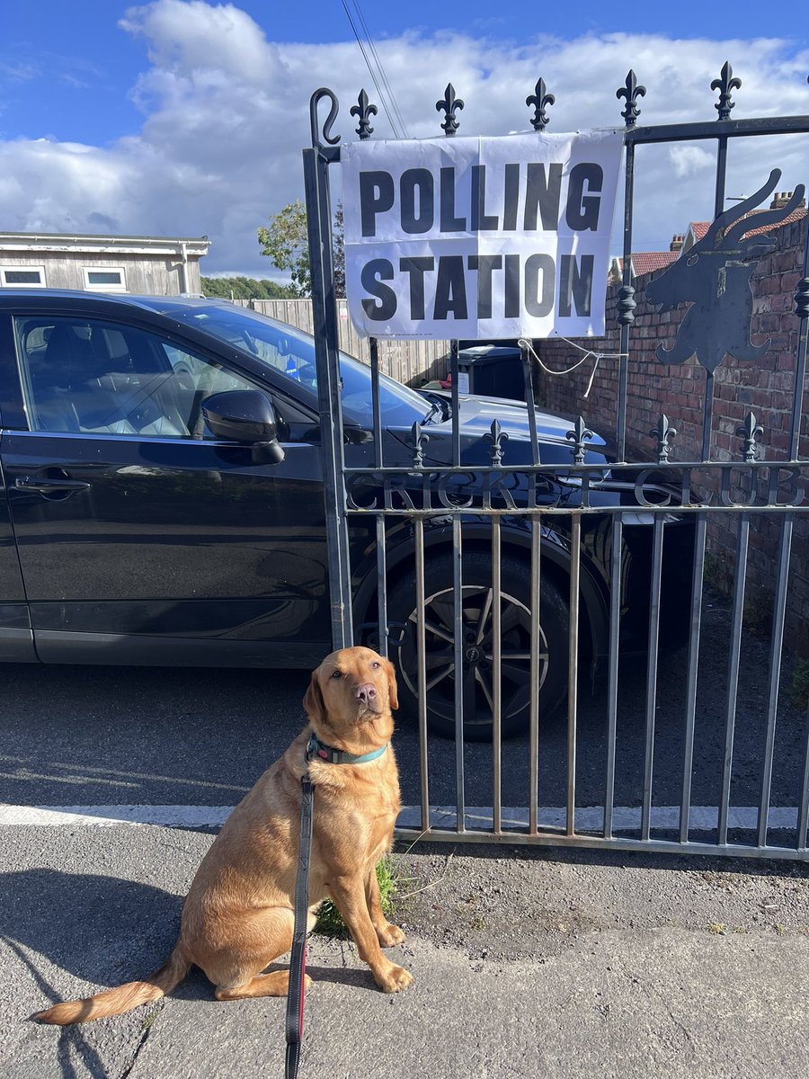 #DogsAtPollingStations
