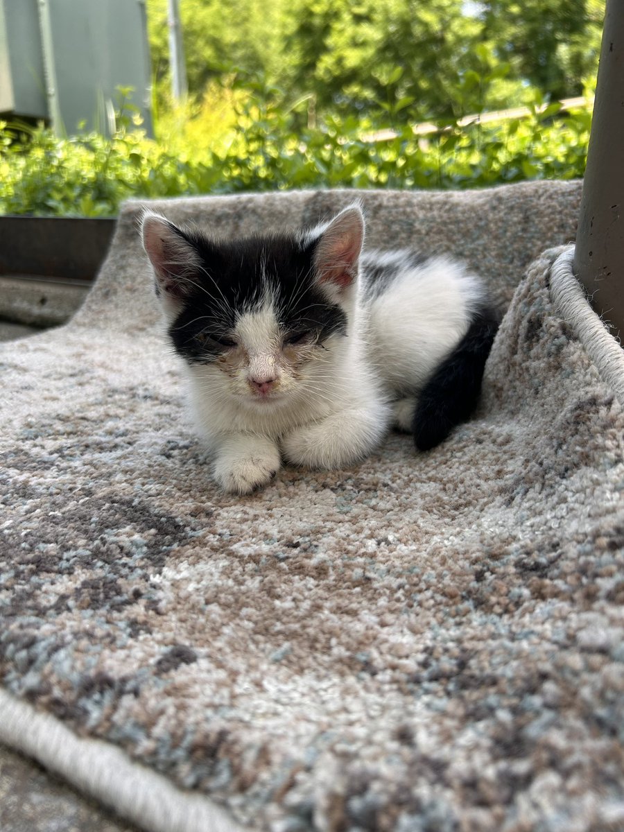 Joe Bonsall tweet media