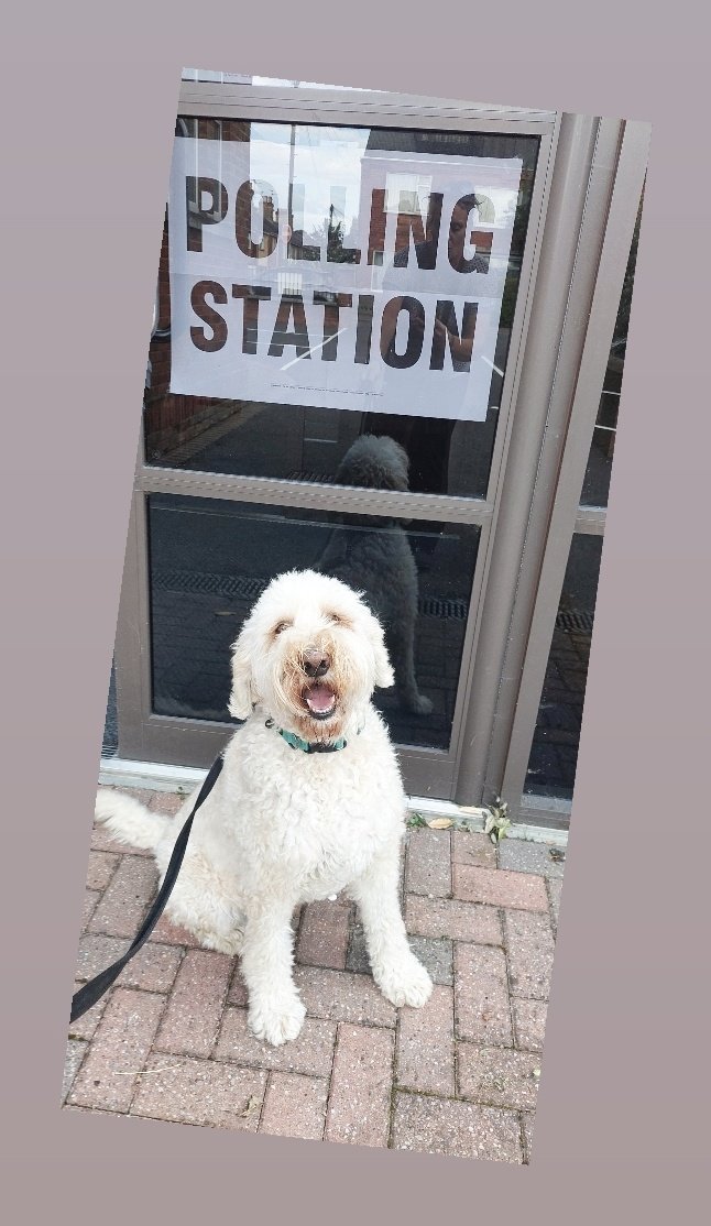 #dogsatpollingstations