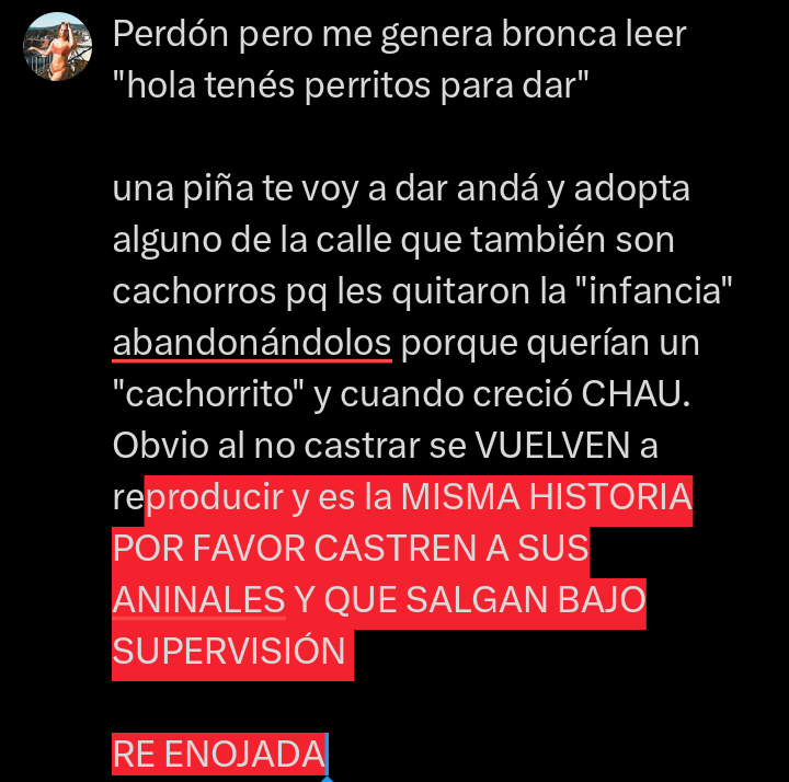 Todo porque los pibes les rompen los huevos que quieren un cachorro y se creen que son juguetes desechables, no, no lo enojada que estoyyyyyy. Cuando crecen dos cm y no invierten tiempo en la educación se cansan "pq me rompe todo" COMPRATE UN PELUCHEeeee