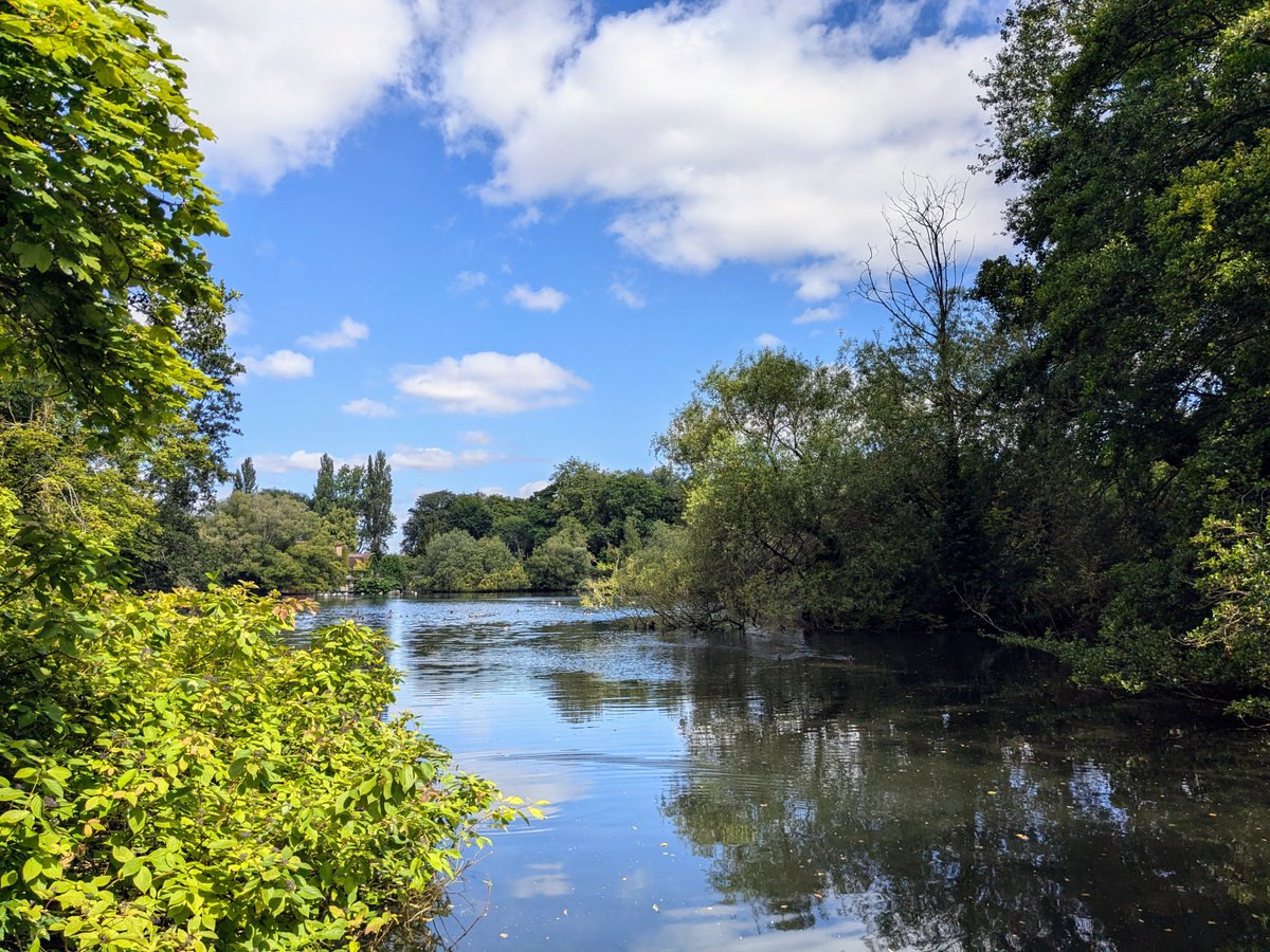 Hertfordshire Walker tweet media