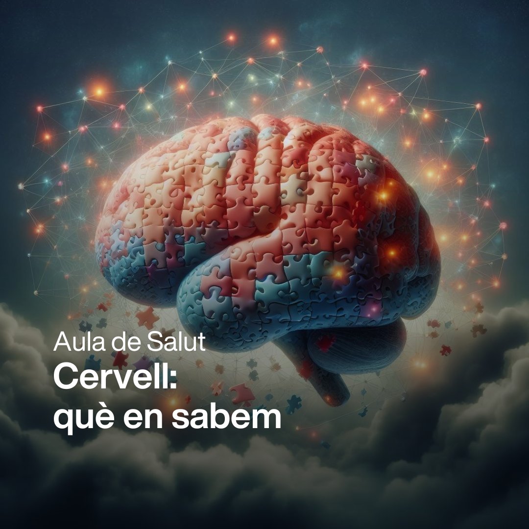 hbellvitge's tweet photo. #AulaDeSalut | Sabies que el cervell pesa prop d'1,5 kg i que consumeix fins al 30% de l'oxigen que entra a l'organisme? Descobreix més aquí: https://t.co/lL3uEzRtoj https://t.co/BodnwHd2T2