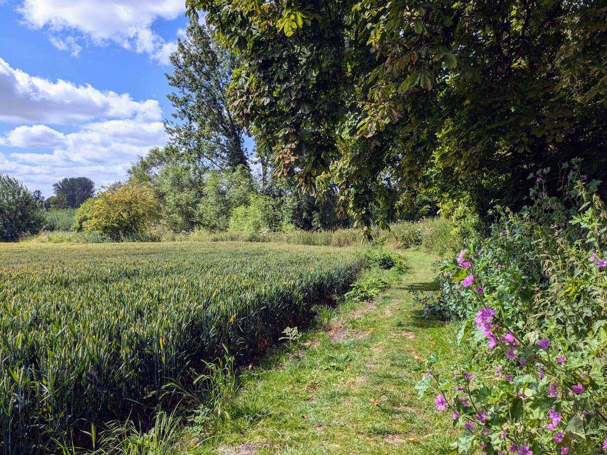 Hertfordshire Walker tweet media