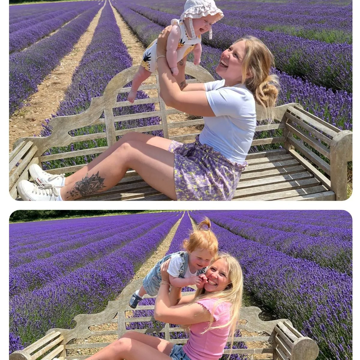 Katie Knowles tweet media