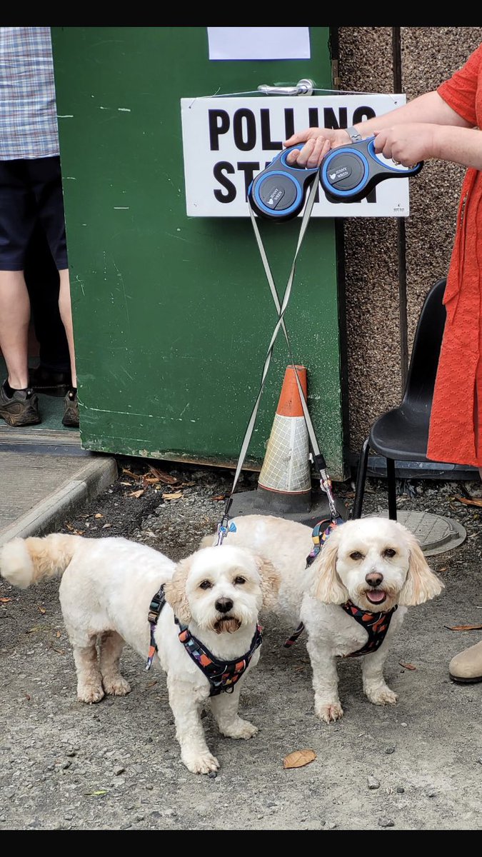 #DogsAtPollingStation #GetTheToriesOut