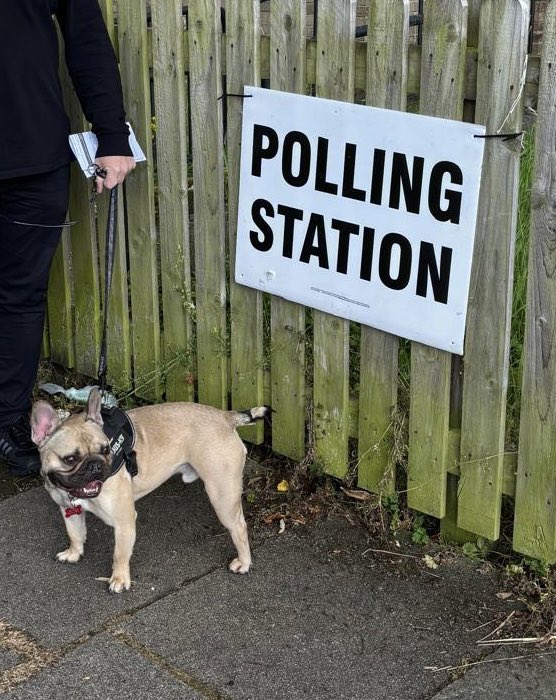 Eric is looking for a future with less chaos! 🐾 #DogsAtPollingStations