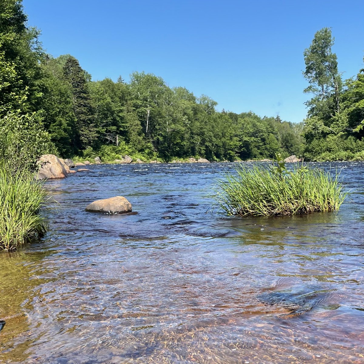 Helen Ward tweet media