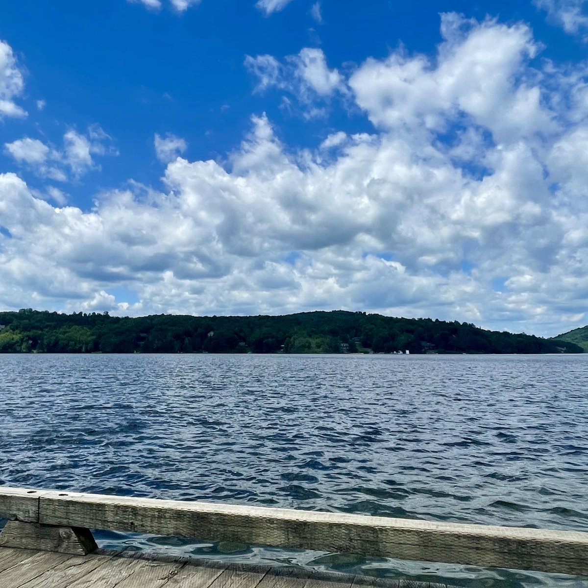 Helen Ward tweet media