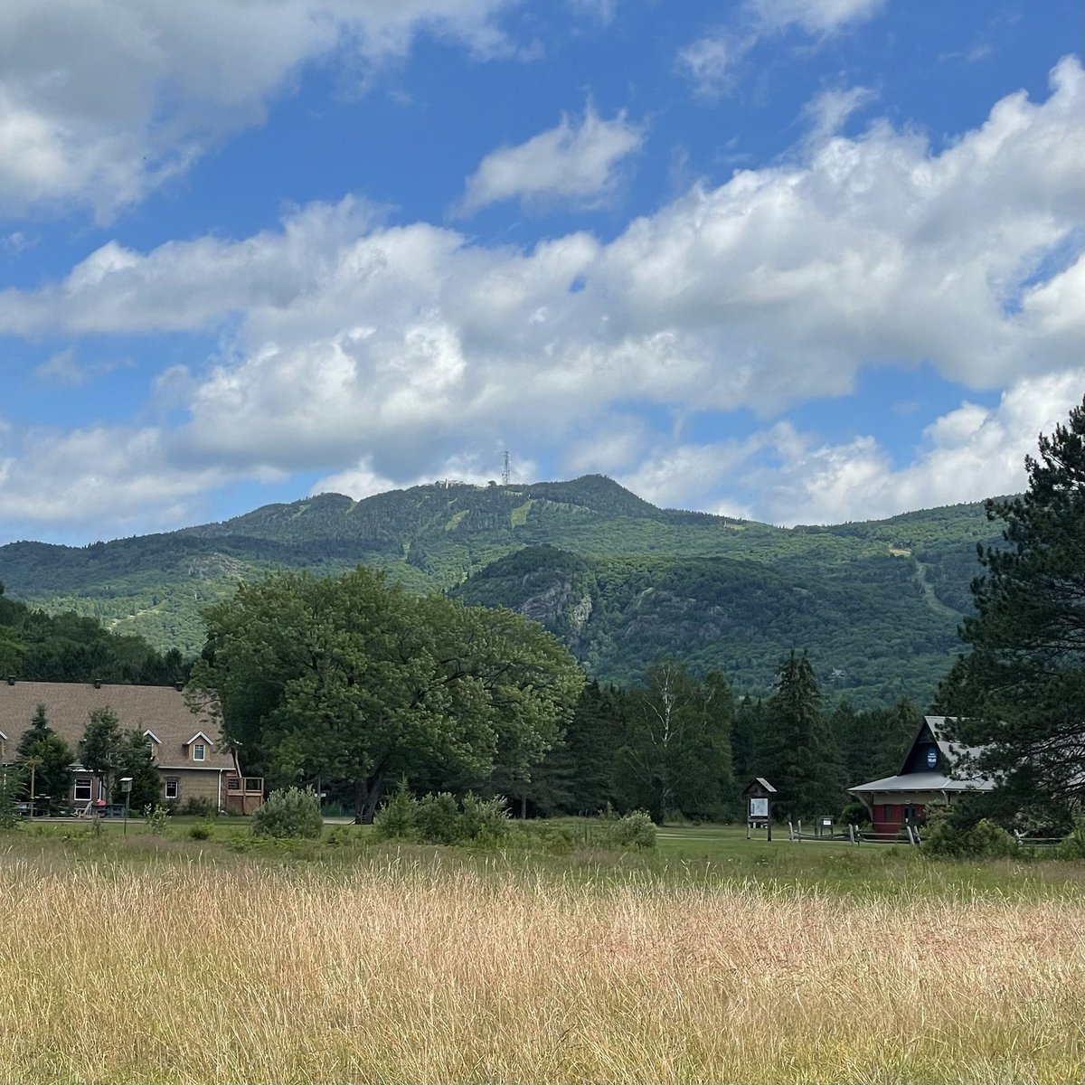 Helen Ward tweet media